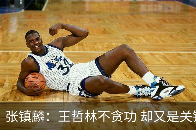 张镇麟：王哲林不贪功 却又是关键时刻能站出来的人 队长当之无愧